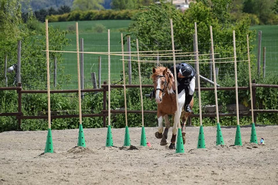 Resultados Concurso Nacional de Trec*** y Campeonato Navarro 2018